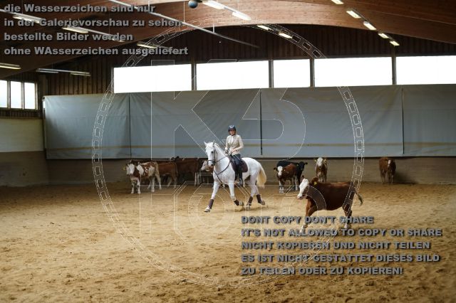 s_K3F01920.JPG